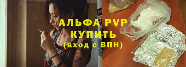 сатива Пролетарск